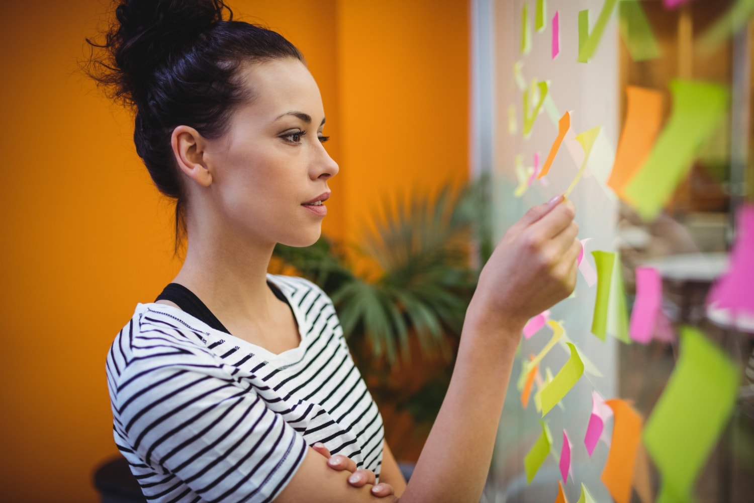 Orientation post-bac : passion ou débouchés, comment construire un choix éclairé ?